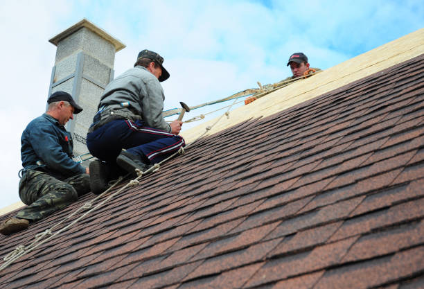 Best Sealant for Roof  in Sunnyside, GA